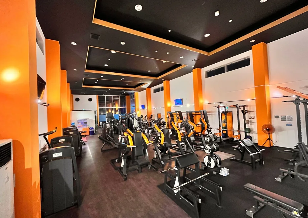 藤枝の24時間ジム trigger fitness 24｜腕トレ・肩トレ初心者の握り方｜二の腕を狙う最初の準備